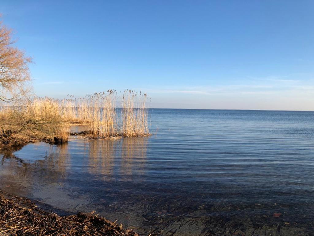 Ferienwohnung Seeblick - Insel Usedom Balm Buitenkant foto