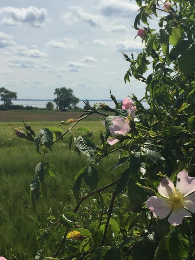 Ferienwohnung Seeblick - Insel Usedom Balm Buitenkant foto