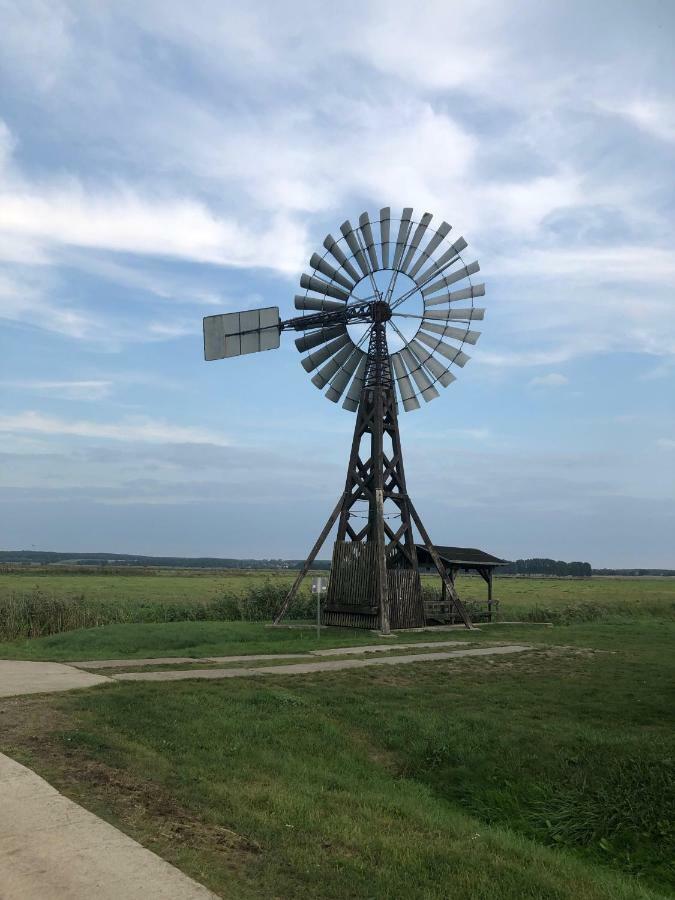 Ferienwohnung Seeblick - Insel Usedom Balm Buitenkant foto